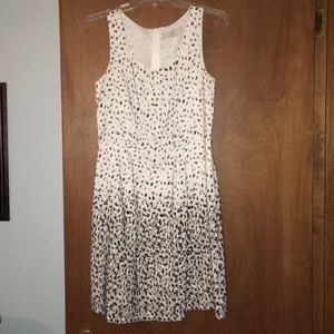 Ann Taylor Loft dress